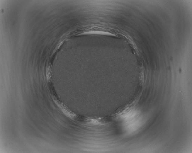 X0000083050285200702021226