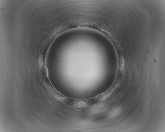 X0000083050287200702021226