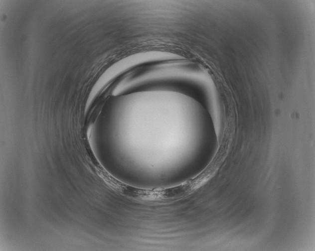 X0000083050288200702021226