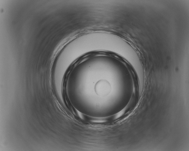 X0000083050293200702021225