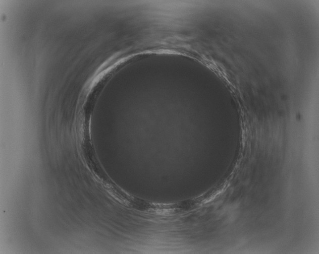 X0000083050295200702021225