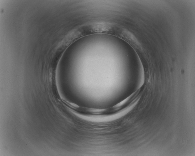 X0000083050315200702021225