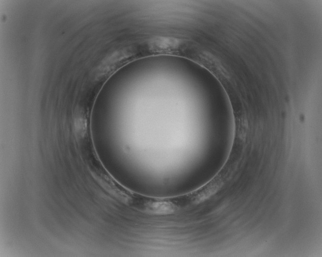 X0000083050324200702021225
