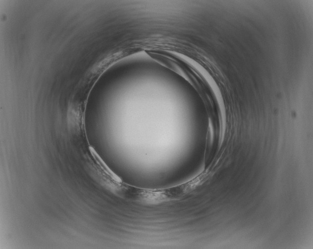X0000083050333200702021224