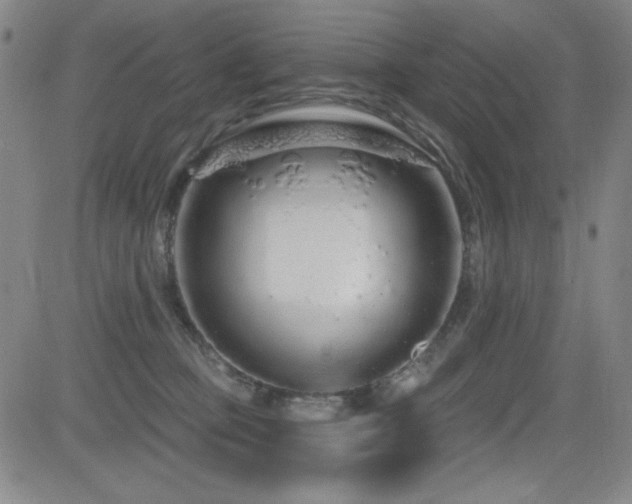 X0000083050373200702021224