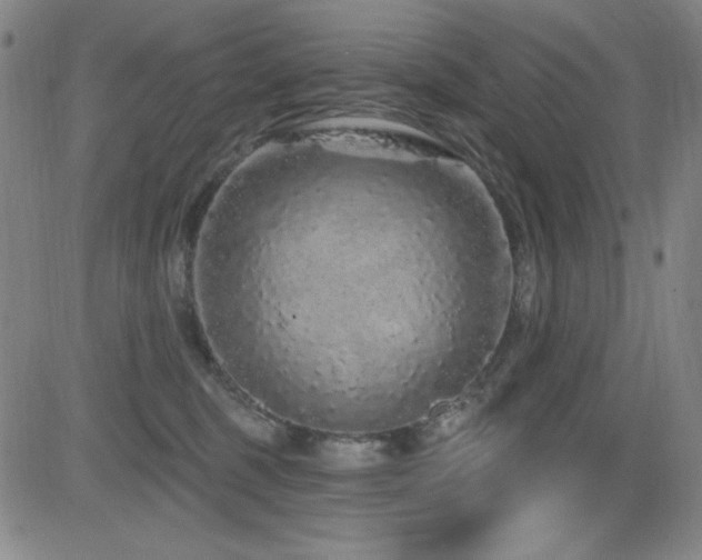 X0000083050375200702021224
