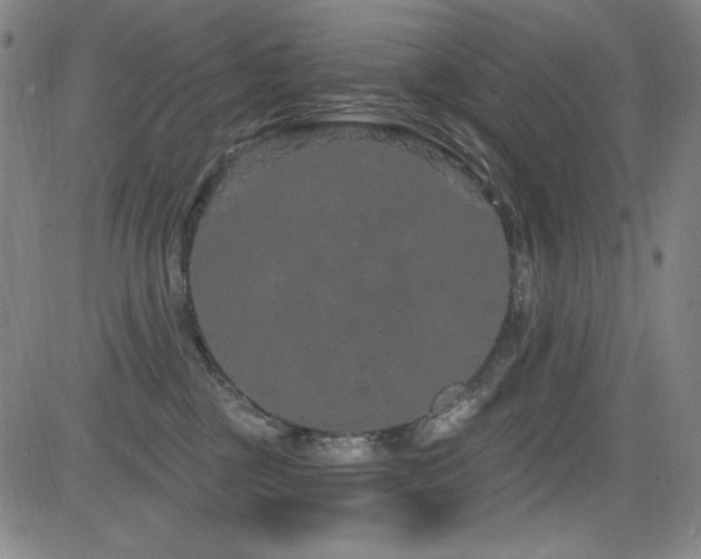X0000083050377200702021224