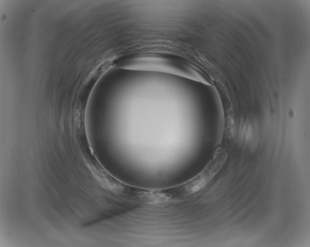 X0000083050379200702021224