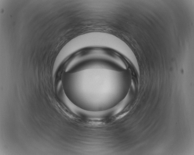 X0000083050380200702021224