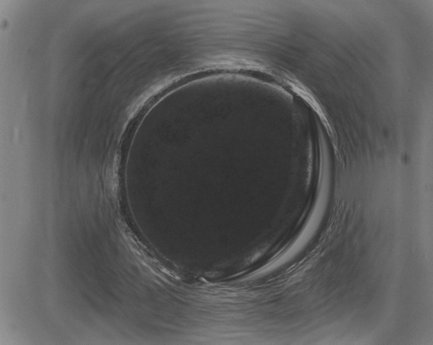 X0000083050387200702021223