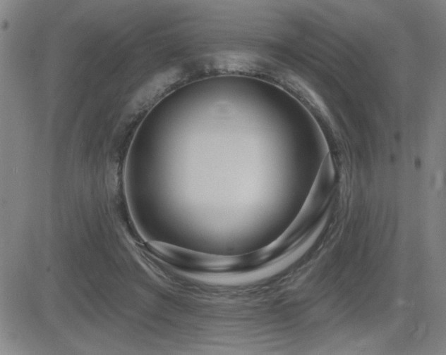 X0000083050401200702021223