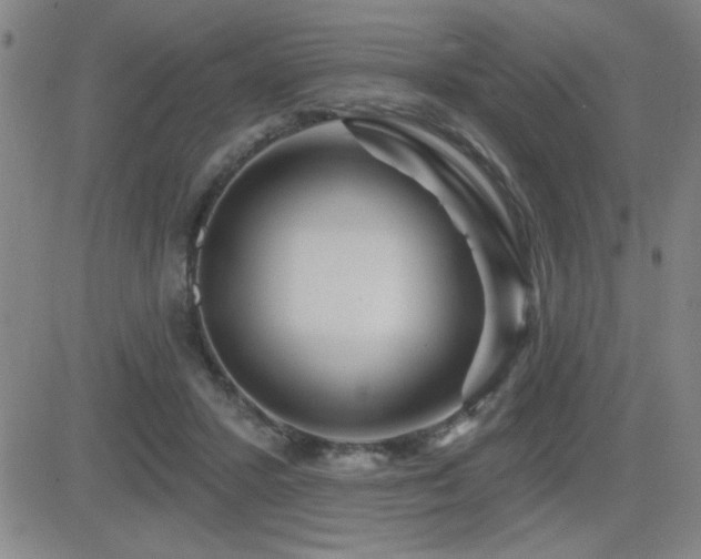 X0000083050407200702021223