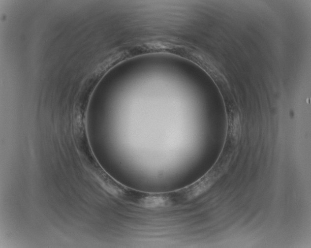 X0000083050418200702021223