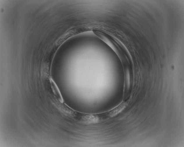 X0000083050421200702021223