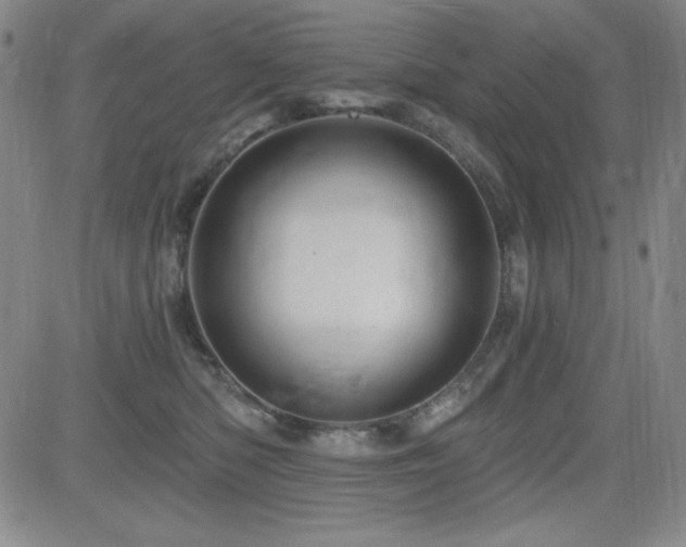 X0000083050422200702021223