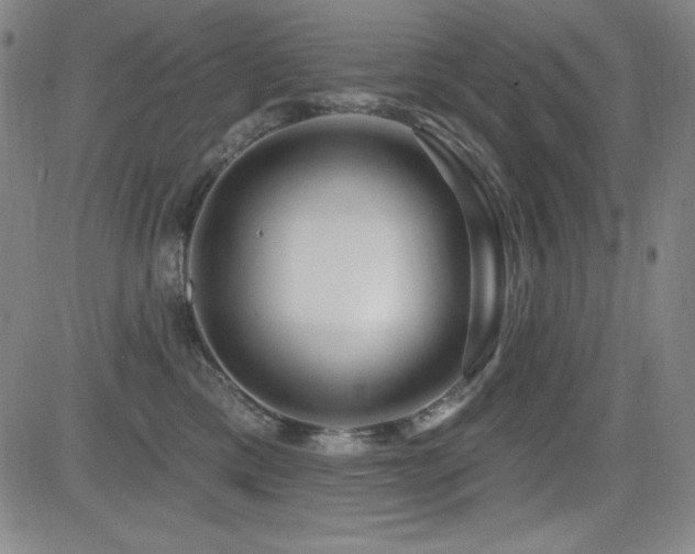 X0000083050425200702021223