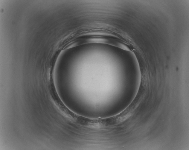 X0000083050454200702021222