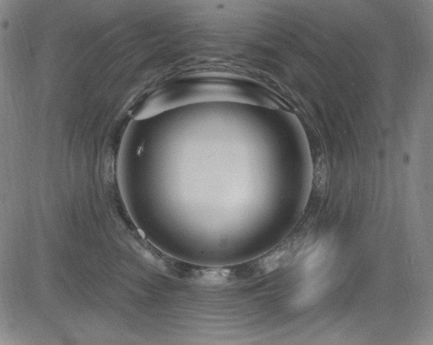 X0000083050474200702021223