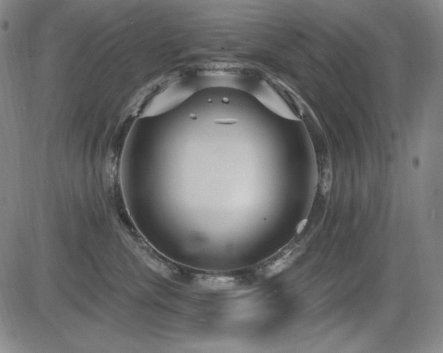 X0000083050476200702021223
