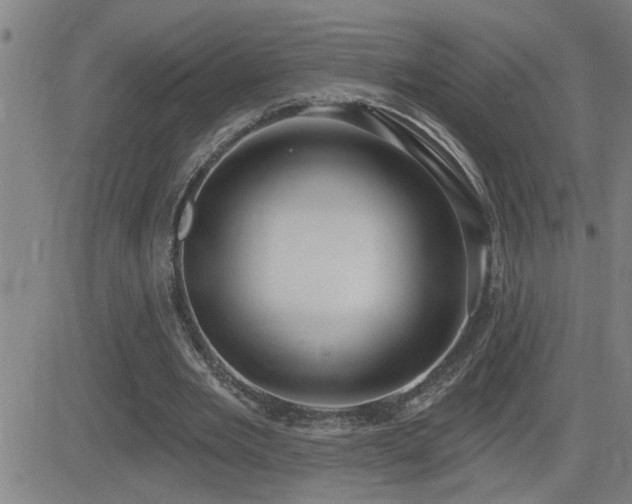 X0000083050485200702021222