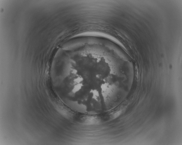 X0000083050507200702021222