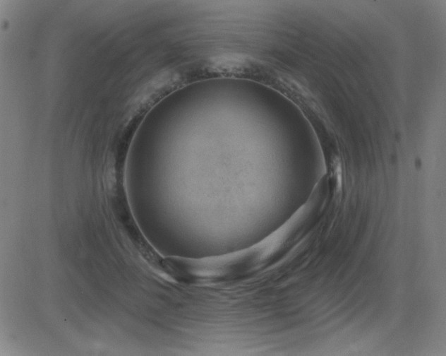 X0000083050508200702021222
