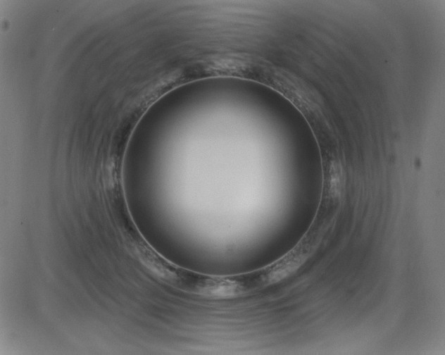 X0000083050514200702021221