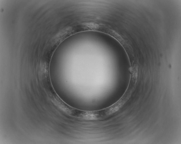 X0000083050518200702021221