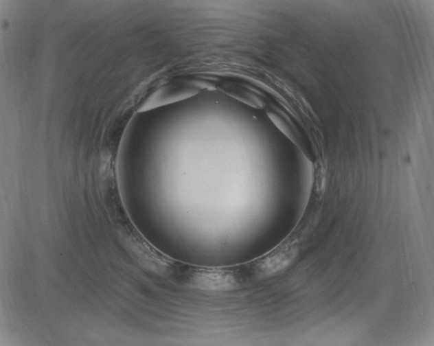 X0000083050521200702021221