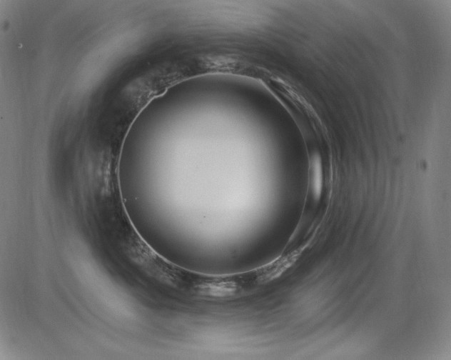 X0000083050525200702021221