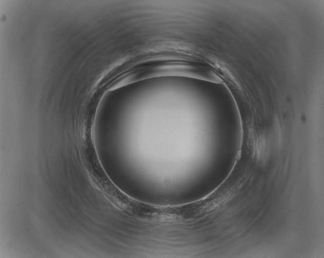X0000083050539200702021221
