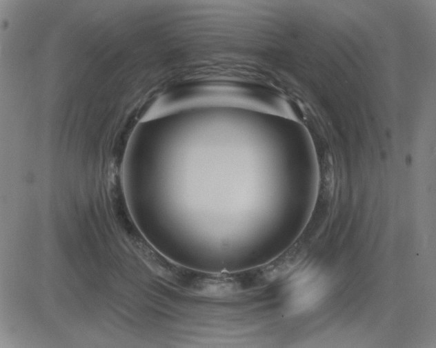 X0000083050555200702021221