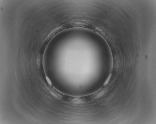X0000083050562200702021221