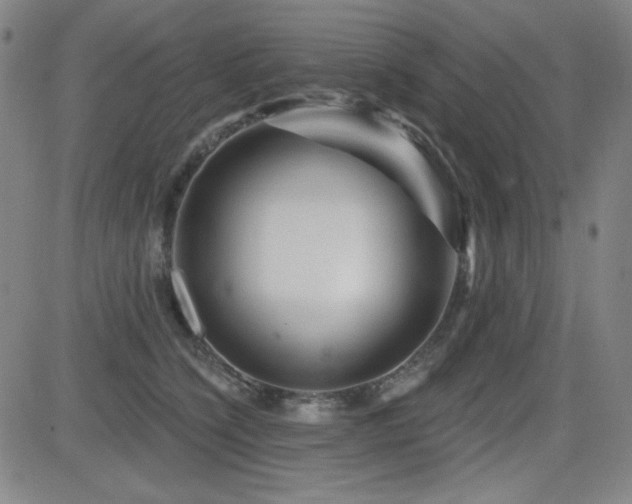 X0000083050564200702021221