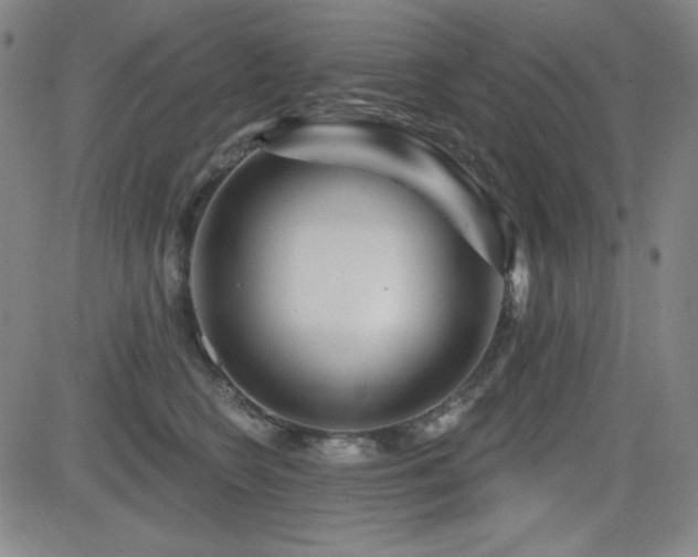 X0000083050566200702021221