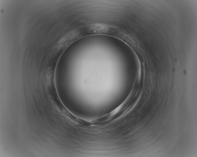 X0000083050604200702021220