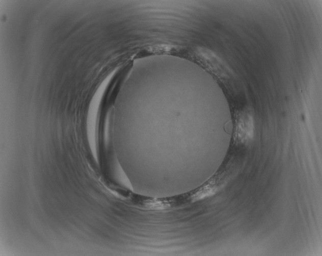 X0000083050616200702021220