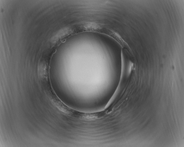 X0000083050619200702021220