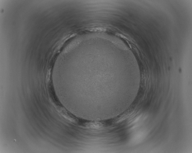 X0000083050652200702021219
