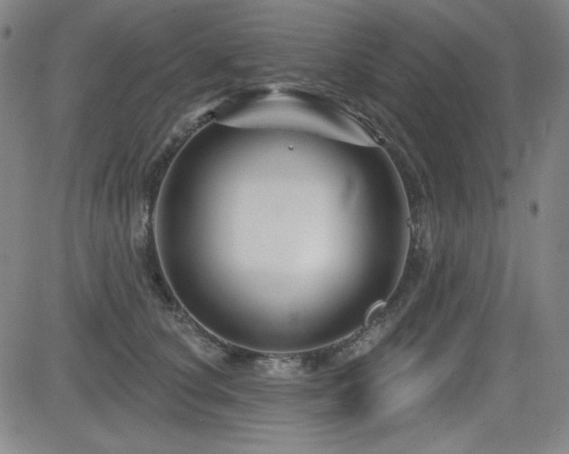 X0000083050660200702021219