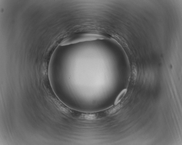 X0000083050665200702021219