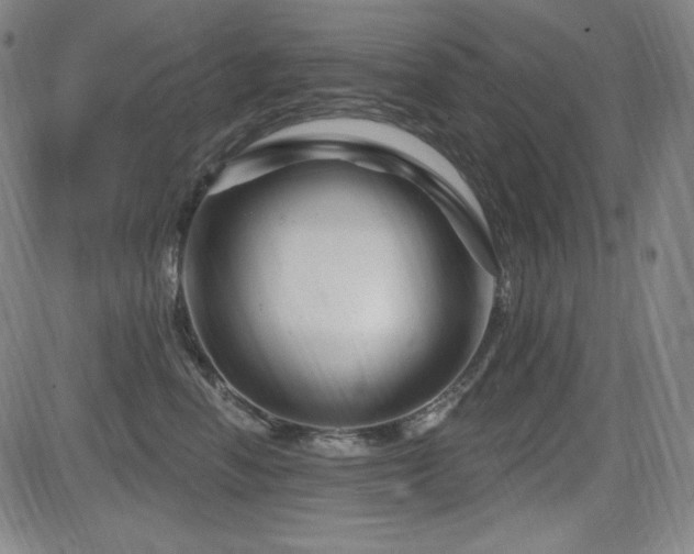 X0000083050666200702021220