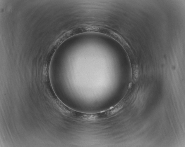 X0000083050667200702021220