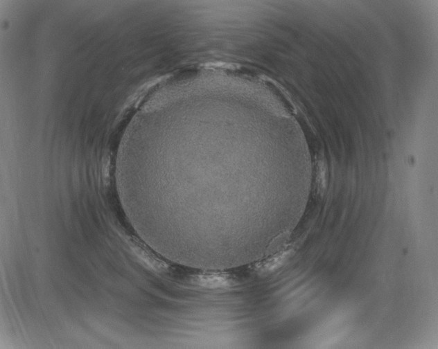 X0000083050668200702021220