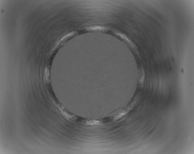 X0000083050669200702021220