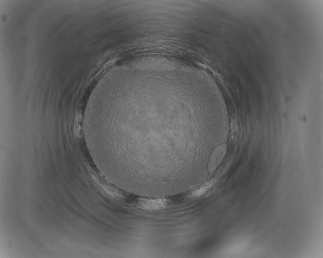 X0000083050671200702021220