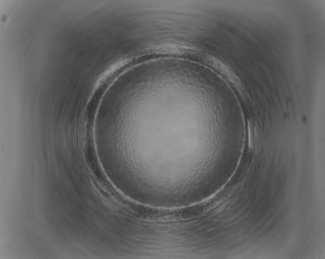 X0000083050675200702021219