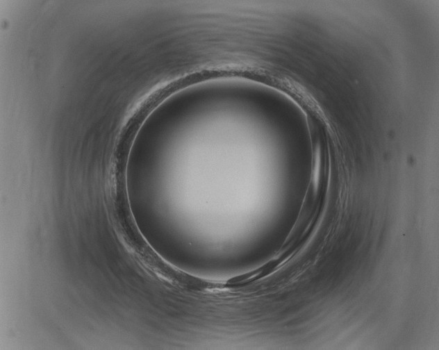 X0000083050676200702021219