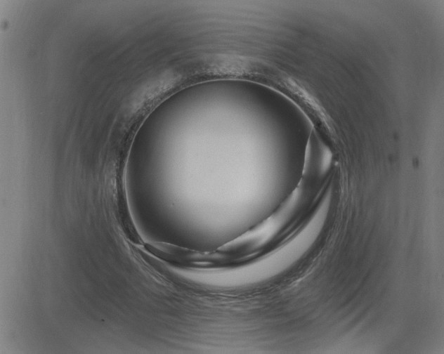 X0000083050681200702021219