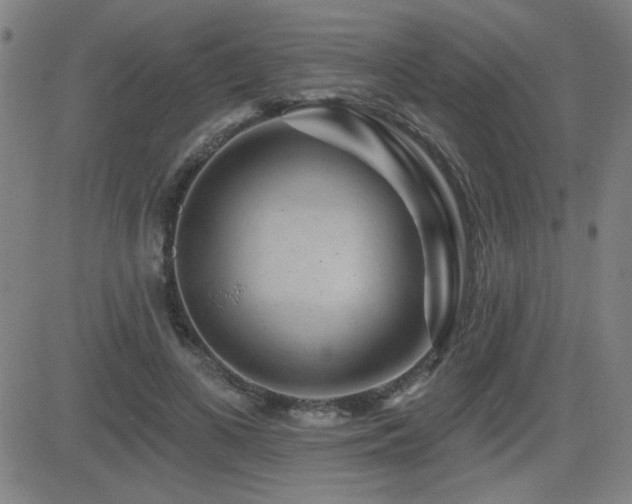 X0000083050693200702021218